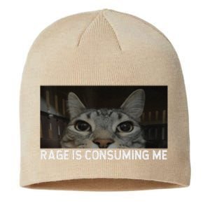 Rage Is Consuming Me Cat Meme Silly Staring Cat Funny Meme Sustainable Beanie