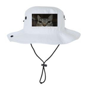 Rage Is Consuming Me Cat Meme Silly Staring Cat Funny Meme Legacy Cool Fit Booney Bucket Hat