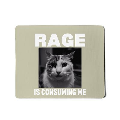 Rage Is Consuming Me Meme Cat Meme Oddly Specific Memes Joke Mousepad