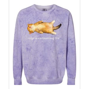 Rage Is Consuming Me Silly Sleepy Cat Meme Colorblast Crewneck Sweatshirt