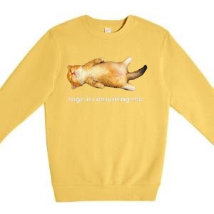 Rage Is Consuming Me Silly Sleepy Cat Meme Premium Crewneck Sweatshirt