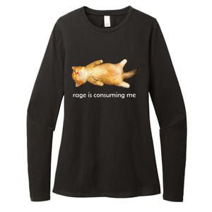 Rage Is Consuming Me Silly Sleepy Cat Meme Womens CVC Long Sleeve Shirt