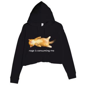 Rage Is Consuming Me Silly Sleepy Cat Meme Crop Fleece Hoodie