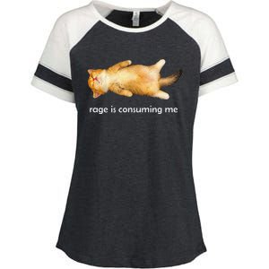 Rage Is Consuming Me Silly Sleepy Cat Meme Enza Ladies Jersey Colorblock Tee