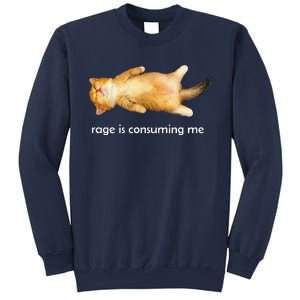 Rage Is Consuming Me Silly Sleepy Cat Meme Sweatshirt