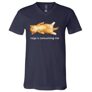 Rage Is Consuming Me Silly Sleepy Cat Meme V-Neck T-Shirt