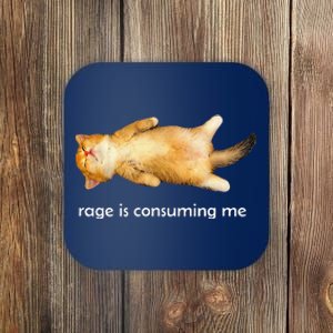 Rage Is Consuming Me Silly Sleepy Cat Meme Coaster