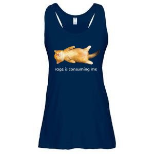 Rage Is Consuming Me Silly Sleepy Cat Meme Ladies Essential Flowy Tank