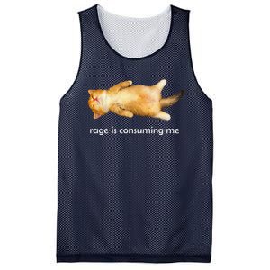 Rage Is Consuming Me Silly Sleepy Cat Meme Mesh Reversible Basketball Jersey Tank