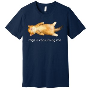 Rage Is Consuming Me Silly Sleepy Cat Meme Premium T-Shirt