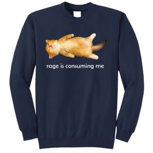 Rage Is Consuming Me Silly Sleepy Cat Meme Tall Sweatshirt