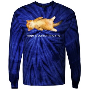 Rage Is Consuming Me Silly Sleepy Cat Meme Tie-Dye Long Sleeve Shirt