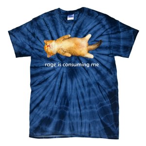 Rage Is Consuming Me Silly Sleepy Cat Meme Tie-Dye T-Shirt