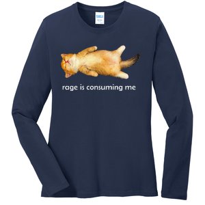 Rage Is Consuming Me Silly Sleepy Cat Meme Ladies Long Sleeve Shirt