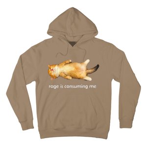 Rage Is Consuming Me Silly Sleepy Cat Meme Hoodie