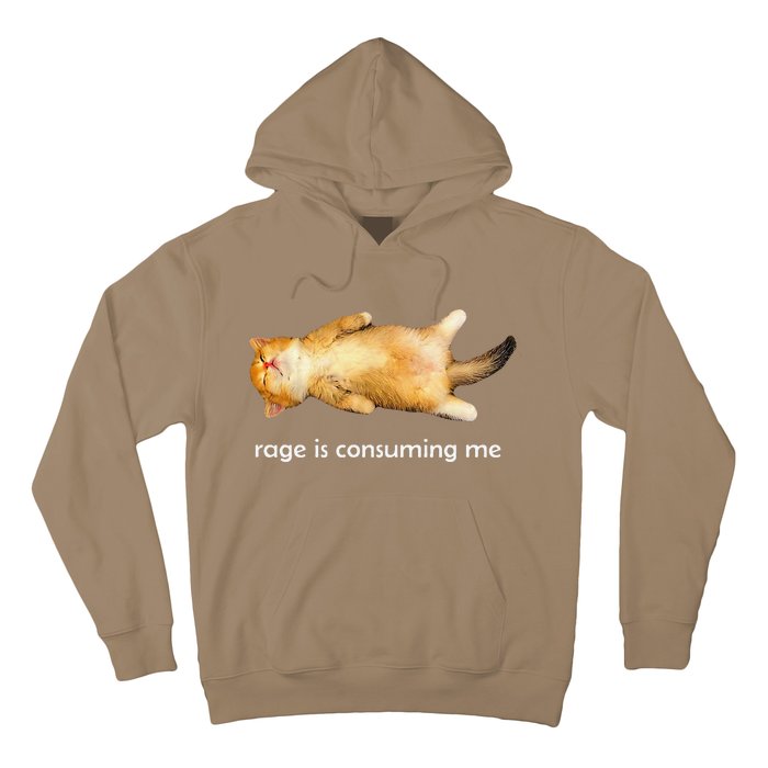 Rage Is Consuming Me Silly Sleepy Cat Meme Hoodie