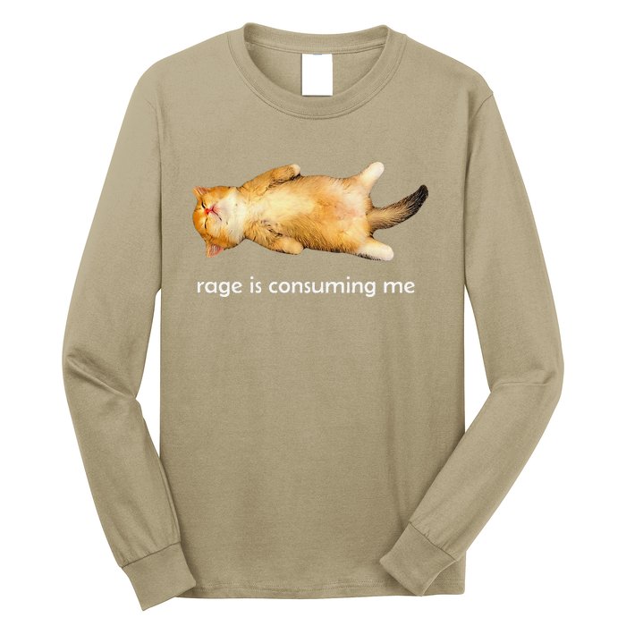 Rage Is Consuming Me Silly Sleepy Cat Meme Long Sleeve Shirt