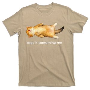 Rage Is Consuming Me Silly Sleepy Cat Meme T-Shirt