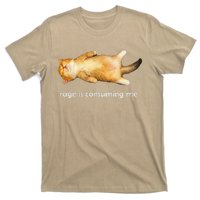 Rage Is Consuming Me Silly Sleepy Cat Meme T-Shirt