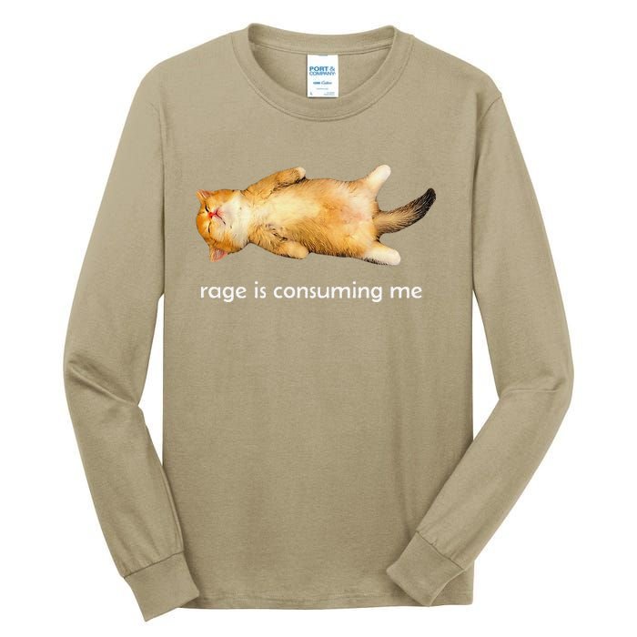 Rage Is Consuming Me Silly Sleepy Cat Meme Tall Long Sleeve T-Shirt