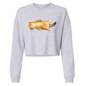 Rage Is Consuming Me Silly Sleepy Cat Meme Cropped Pullover Crew