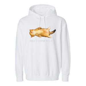 Rage Is Consuming Me Silly Sleepy Cat Meme Garment-Dyed Fleece Hoodie