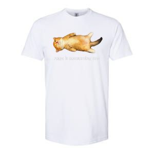 Rage Is Consuming Me Silly Sleepy Cat Meme Softstyle CVC T-Shirt