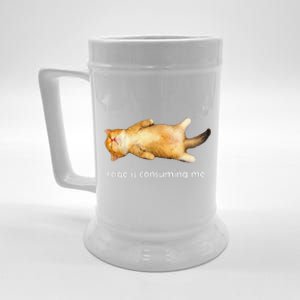 Rage Is Consuming Me Silly Sleepy Cat Meme Beer Stein