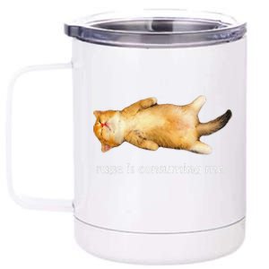 Rage Is Consuming Me Silly Sleepy Cat Meme 12 oz Stainless Steel Tumbler Cup