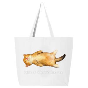 Rage Is Consuming Me Silly Sleepy Cat Meme 25L Jumbo Tote