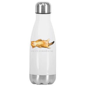 Rage Is Consuming Me Silly Sleepy Cat Meme Stainless Steel Insulated Water Bottle