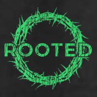 Rooted In Christ Having Your Roots Firmly In God Adult Drive Performance Visor