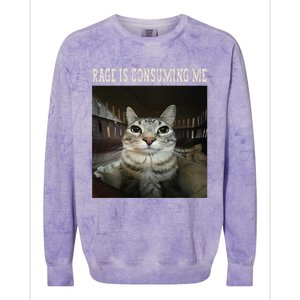 Rage Is Consuming Me Cat Colorblast Crewneck Sweatshirt