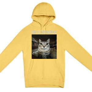 Rage Is Consuming Me Cat Premium Pullover Hoodie