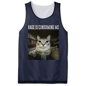 Rage Is Consuming Me Cat Mesh Reversible Basketball Jersey Tank