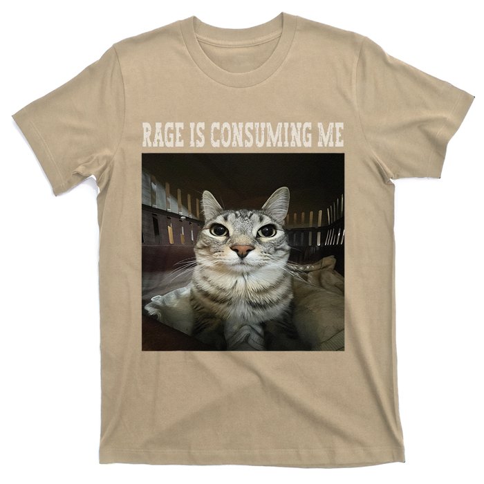 Rage Is Consuming Me Cat T-Shirt