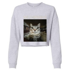 Rage Is Consuming Me Cat Cropped Pullover Crew