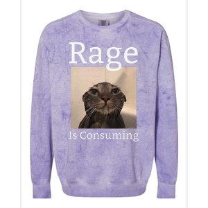 Rage Is Consuming Me Silly Staring Cat Meme Colorblast Crewneck Sweatshirt