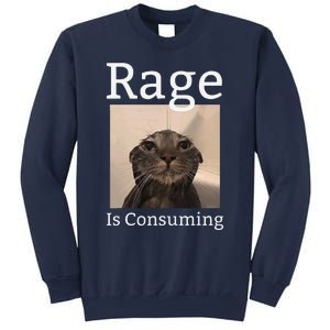 Rage Is Consuming Me Silly Staring Cat Meme Sweatshirt