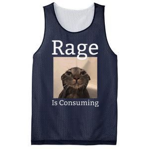 Rage Is Consuming Me Silly Staring Cat Meme Mesh Reversible Basketball Jersey Tank