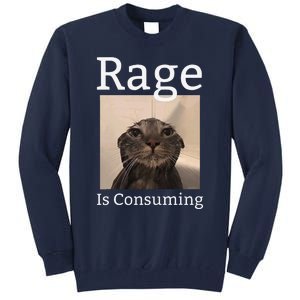 Rage Is Consuming Me Silly Staring Cat Meme Tall Sweatshirt