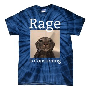 Rage Is Consuming Me Silly Staring Cat Meme Tie-Dye T-Shirt