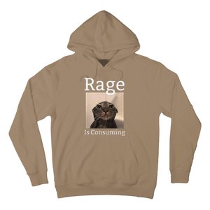 Rage Is Consuming Me Silly Staring Cat Meme Hoodie