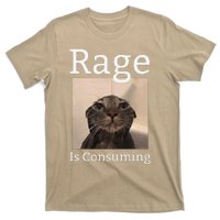 Rage Is Consuming Me Silly Staring Cat Meme T-Shirt