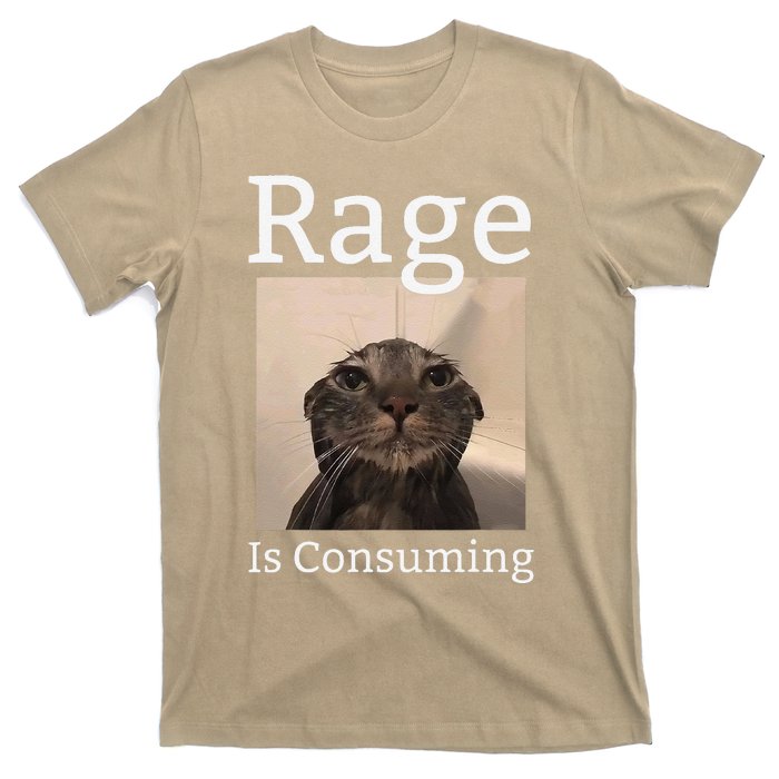 Rage Is Consuming Me Silly Staring Cat Meme T-Shirt