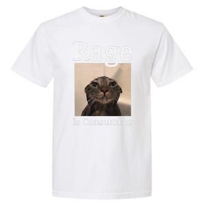 Rage Is Consuming Me Silly Staring Cat Meme Garment-Dyed Heavyweight T-Shirt