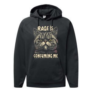 Rage Is Consuming Me Cat Meme Performance Fleece Hoodie