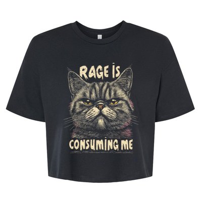 Rage Is Consuming Me Cat Meme Bella+Canvas Jersey Crop Tee