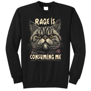 Rage Is Consuming Me Cat Meme Sweatshirt