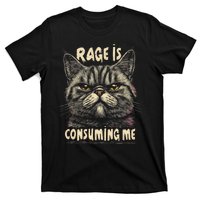 Rage Is Consuming Me Cat Meme T-Shirt